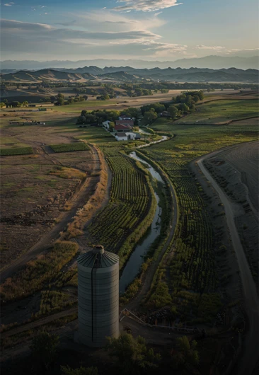 Mitigação de Riscos: