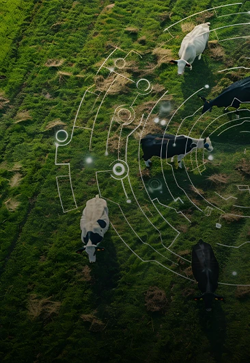 Apoio à Recuperação de Crédito: