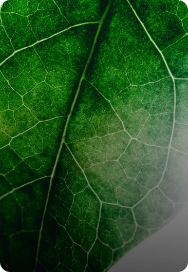 Sustentabilidade e impacto